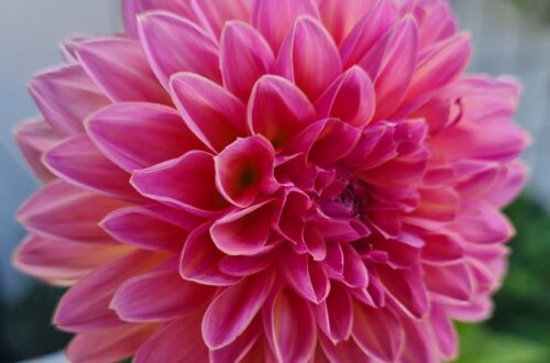 Hilfe für dein Werteranking